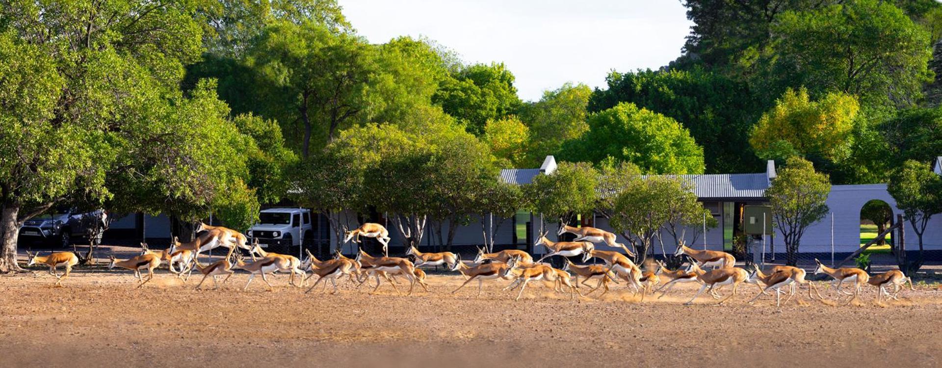 Merino Inn Hotel Colesberg Kültér fotó